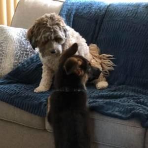 Meet your Posher, Tracy